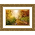 thumbnail image 1 of Murdock, Ramona 24x17 Gold Ornate Wood Framed with Double Matting Museum Art Print Titled - Stream of Light I, 1 of 4