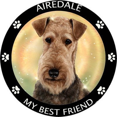 Scottish Terrier My Best Friend Magnet (Best Magnet To Test Gold)