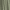 Olive Oak, variant on Time and Tru Women's Sleeveless Tiered Cotton Midi Dress, Sizes XS-XXXL