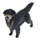 thumbnail image 5 of Juguete de animales Perro / Figuras de animales de simulación Juguete científico y educativo para, 5 of 9