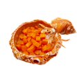thumbnail image 4 of 2 Packs Reptile Water Dish Food Bowl for Bearded Dragon Tank Accessories, Reptile Rock Feeder for Leopard Gecko Hermit Crab Tortoise Snake, Orange, 4 of 6
