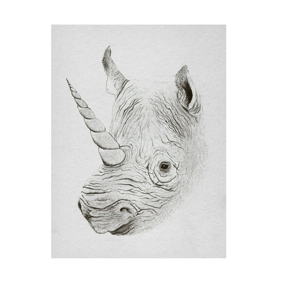 Trademark Fine Art Florent Bodart Rhinoplasty Canvas Wall Art