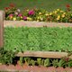 thumbnail image 5 of Pared de plantas verdes artificiales con hojas verdes simuladas, valla de ratán, decoración para balcón, 5 of 6