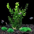 thumbnail image 4 of Acuario, decoración de pecera, conjunto de árbol de plantas de acuario, decoración de pecera, 4 of 5