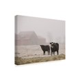 thumbnail image 2 of Trademark Fine Art 'Farm Study III' Canvas Art by Adam Mead, 2 of 4