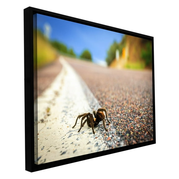 Cody York "Tarantula" Floater-Framed Gallery-Wrapped Canvas