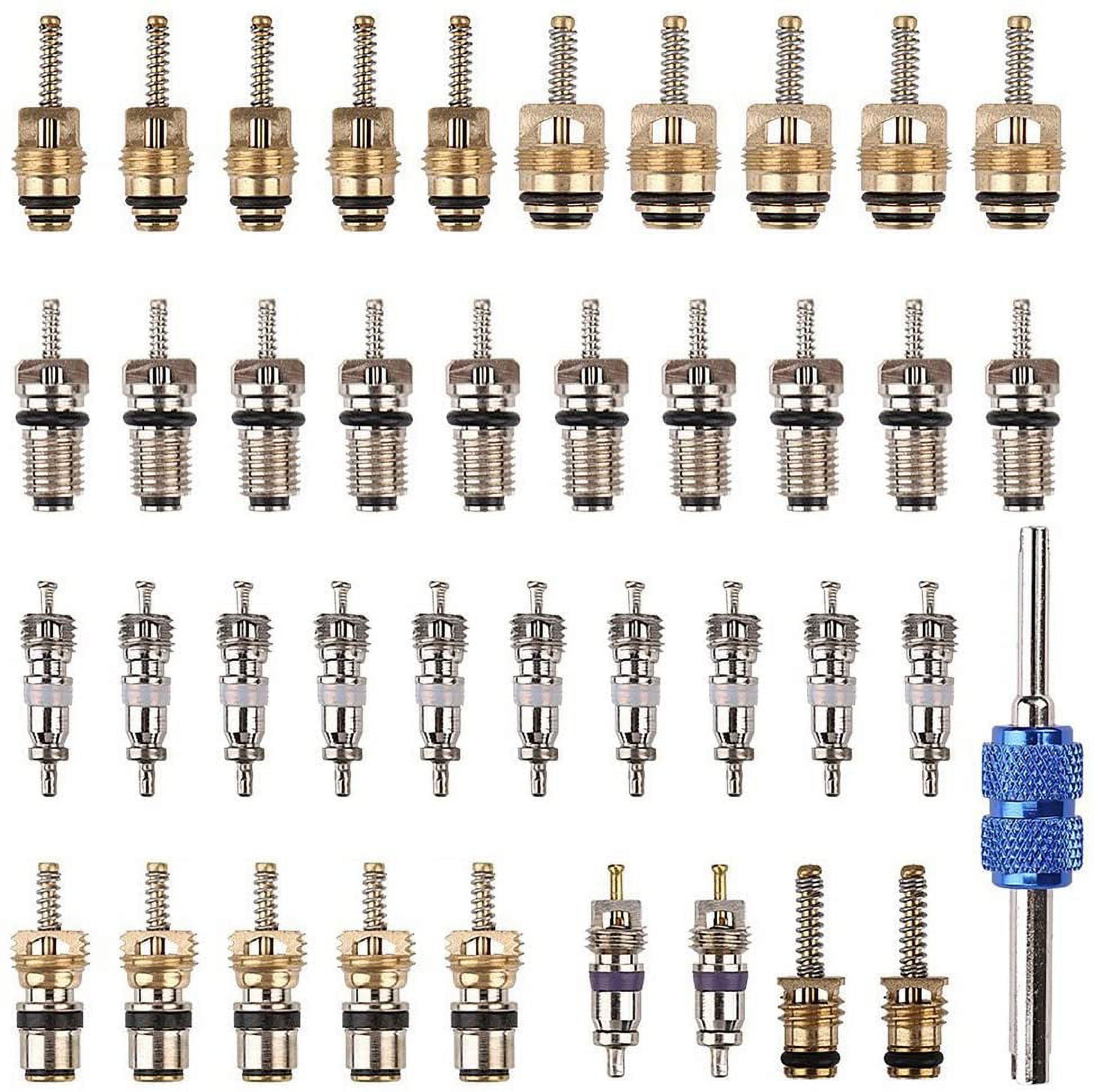 40Pcs Air Conditioning Valve Core Kit, A/C R12 R134a Refrigeration Tire  Valve Stem Cores with Remover Tool for Most Car