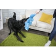 thumbnail image 4 of goDog® Gator with Chew Guard Technology™ Durable Durable Plush Squeaker Dog Toy, Extra Large, Blue, 4 of 12