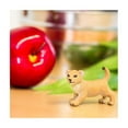 thumbnail image 5 of Safari Ltd. Lion Cub Figurine - Lifelike 2.35" Wildlife Figure - Educational Toy for Boys, Girls, and Kids Ages 3+, 5 of 5