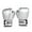 Silver, variant on DYEXPRESS Boxing Gloves, Pro Training Sparring, Sponge PU Leather, Suitable for Children Aged 3-12, Heavy Punching Bag Focus Mitts Pads Workout, Ventilated Palm, Multi Layered, 1 Pair (Red)