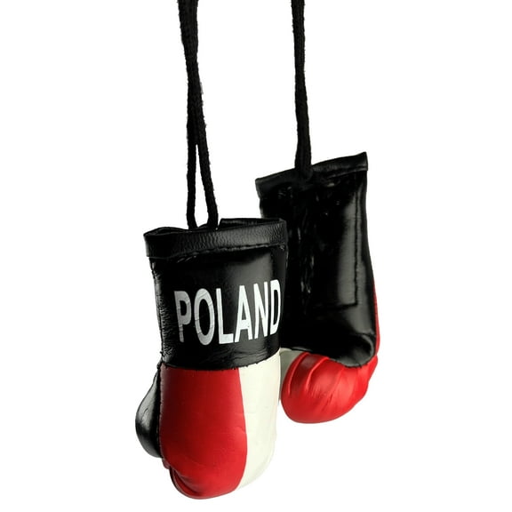 Mini BOXING Gloves - POLAND Country Pride POLSKA National Flag MMA Car Décor
