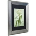 thumbnail image 2 of Trademark Fine Art "Allium I" Canvas Art by Color Bakery Black Matte, Silver Frame, 2 of 4