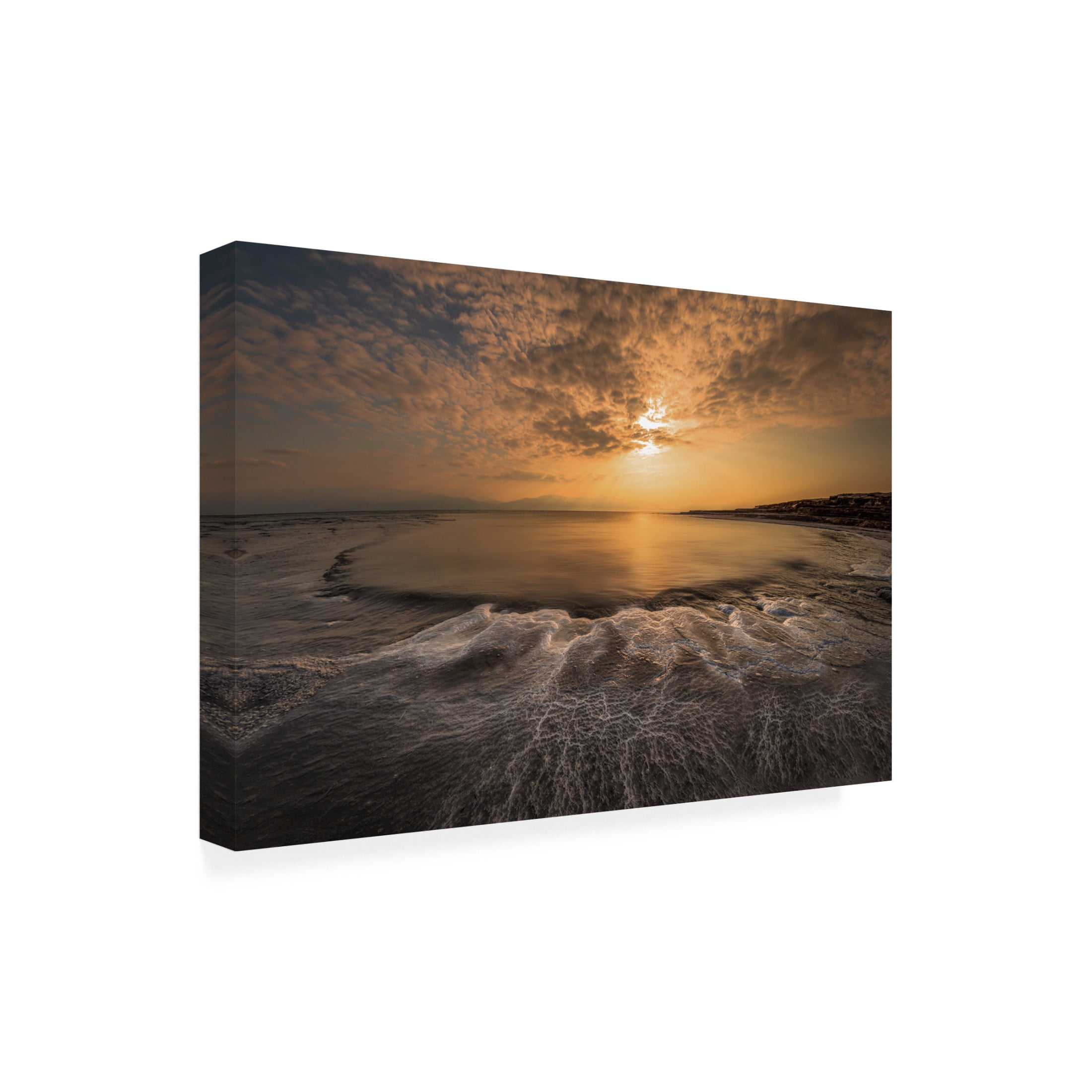 Isam Telhami 'Structure Of Salt' Canvas Art - 47 x 30 Inches