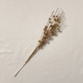 thumbnail image 1 of Decoración navideña, polvo dorado, bola de bayas, manojo de purpurina artificial, tallo, adorno, tenedor, hilo, palo de cuentas, palo de purpurina, flor de ratán, 1 of 6