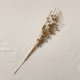 thumbnail image 1 of Decoración navideña, polvo dorado, bola de bayas, manojo de purpurina artificial, tallo, adorno, tenedor, hilo, palo de cuentas, palo de purpurina, flor de ratán, 1 of 6