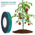 thumbnail image 3 of unbranded De Jardinería Elástica Para Fijar Plantas Y Ramas Que No El Crecimiento Ni Salud Vegetal, 3 of 7