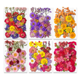 thumbnail image 1 of Paquete Flores Secas Naturales Prensadas Para Manualidades Modelo 1, Multicolor, 1 of 5