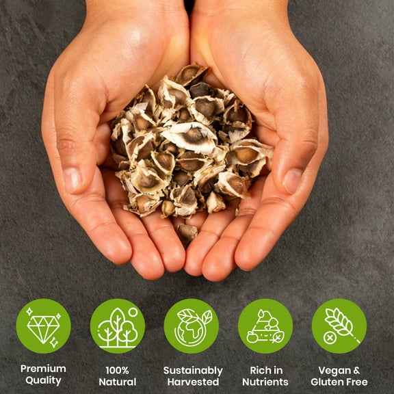 Moringa Seeds 1000 Count - 95% Germination Rate - Pkm1 Variety - NON-GMO