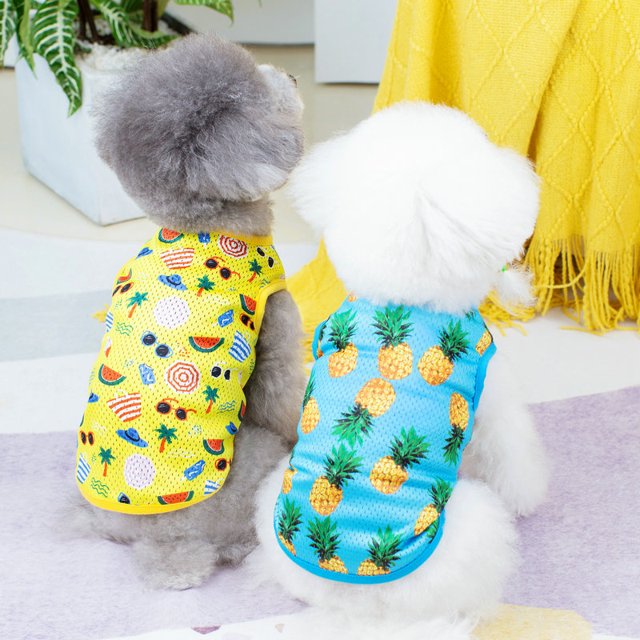 Paquete de 2 camisas para perros, disfraces de gato para cosplay, camisetas transpirables para mascotas,(S) ShuxiuWang 1327537110972