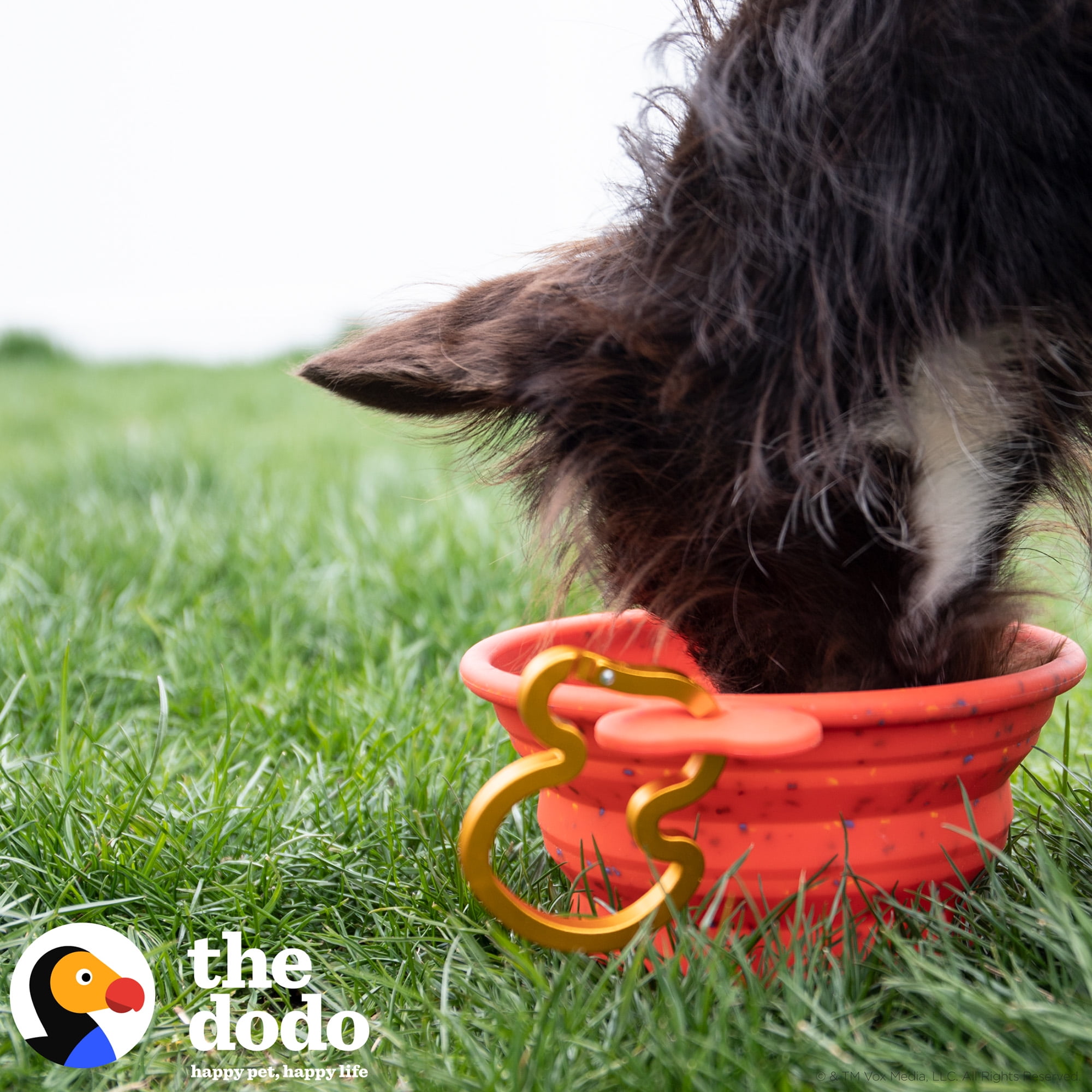 The Dodo Red Silicone Collapsible Speckled Bowl with Bird Carabiner