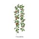 thumbnail image 3 of Decoración Navideña de Ratán con Ramas de Bayas, 170 Cm, Ramas de Plástico Flexible Multicolor, Decoración para Fiestas | Guirnalda Decorativa para Árbol de Navidad | Bodas, Cumpleaños y Uso Estacion, 3 of 6