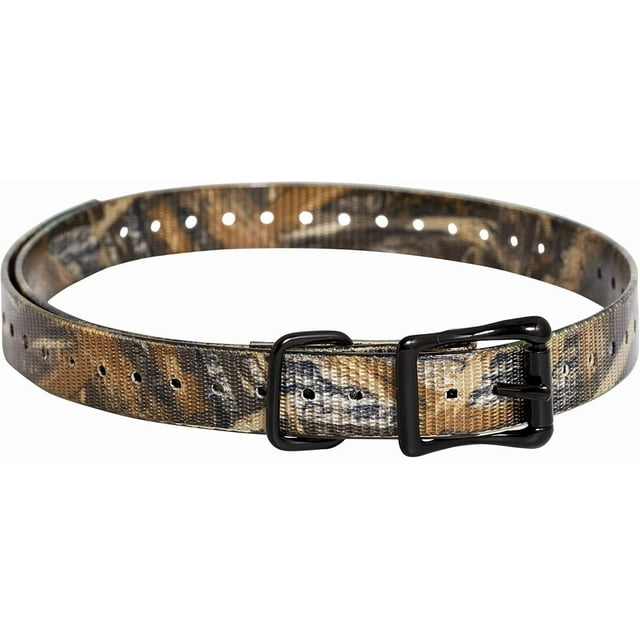 Sangle de Collier 3/4 Pouce
