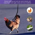 thumbnail image 4 of Pollo Ajustable Con Correa Chaleco De Mascota De Gallina Transpirable Con Cinturón A Juego De 3.6 Pies Cuerda De Tracción De Entrenamiento Al Aire Libre Para Mascotas Gallina Pato Ganso Yuarrent HA044941-22, 4 of 6
