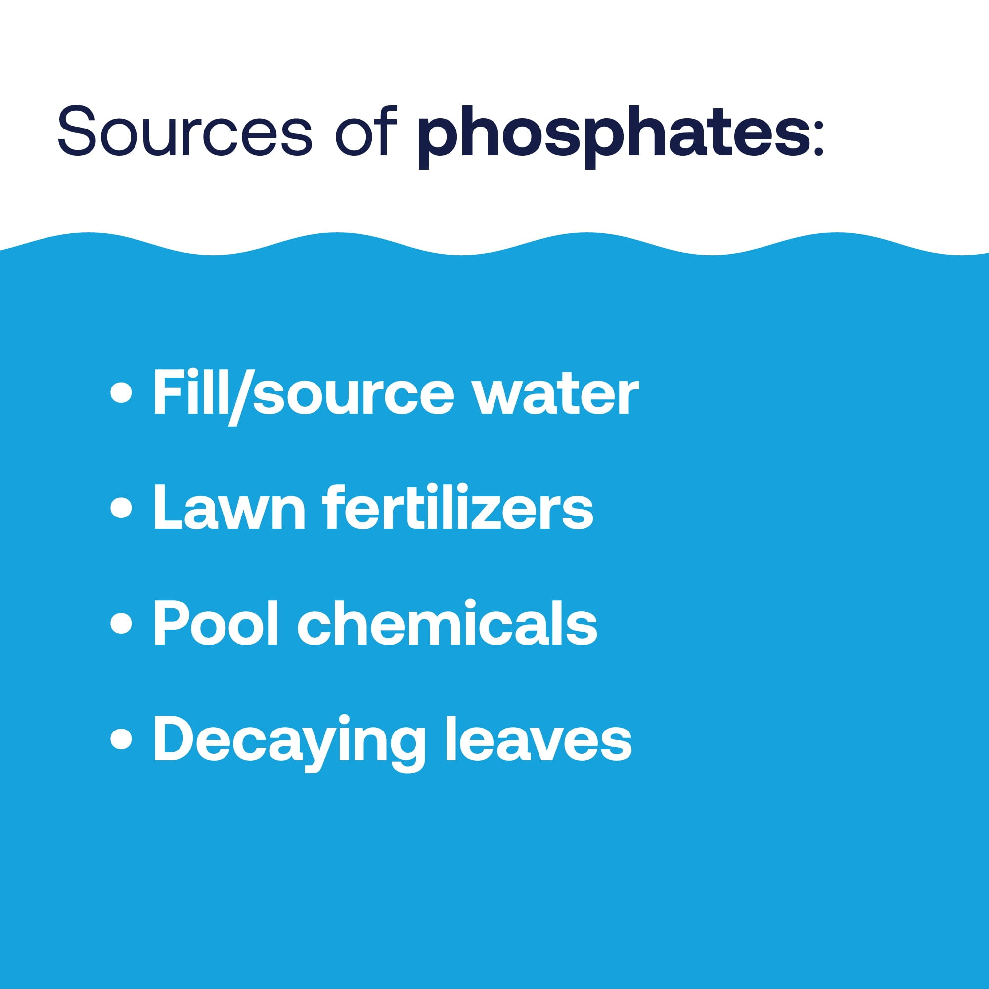 HTH Pool Care Phosphate Remover — Concentrated Liquid, 28 oz — Pool Phosphate Remover to Reduce Phosphates and Help Prevent Algae in Swimming Pools