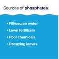 thumbnail image 5 of HTH Pool Care Phosphate Remover — Concentrated Liquid, 28 oz — Pool Phosphate Remover to Reduce Phosphates and Help Prevent Algae in Swimming Pools, 5 of 7