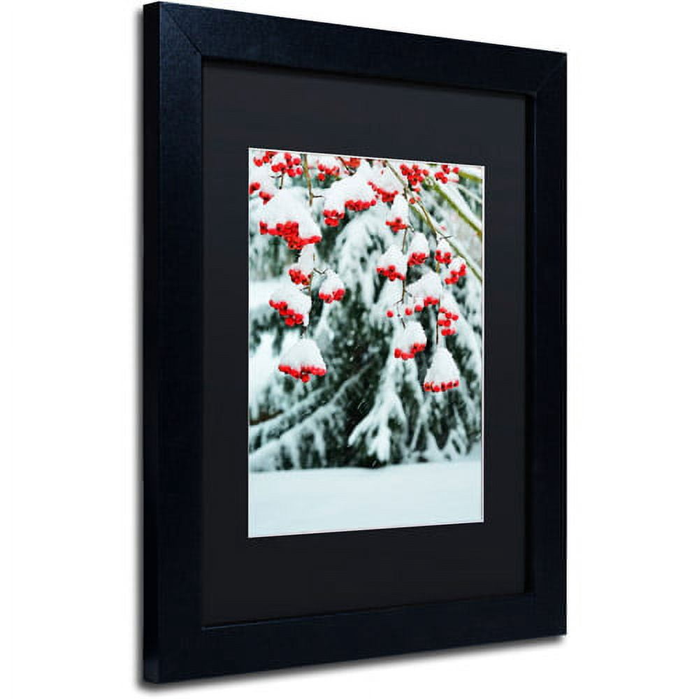 Trademark Fine Art "Winter Berries and Pine" Canvas Art by Kurt Shaffer Black Matte, Black Frame