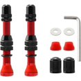 thumbnail image 1 of 2 piezas de vástago de válvula sin cámara para bicicleta de montaña, vástago de válvula de aleación de aluminio para bicicleta, 1 of 4