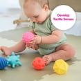 thumbnail image 3 of Edushape The Original Sensory Mini Balls for Baby Pack of 6, 3 of 7