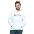 thumbnail image 2 of Harry Potter Mens Full Colour Logo Hoodie, 2 of 3