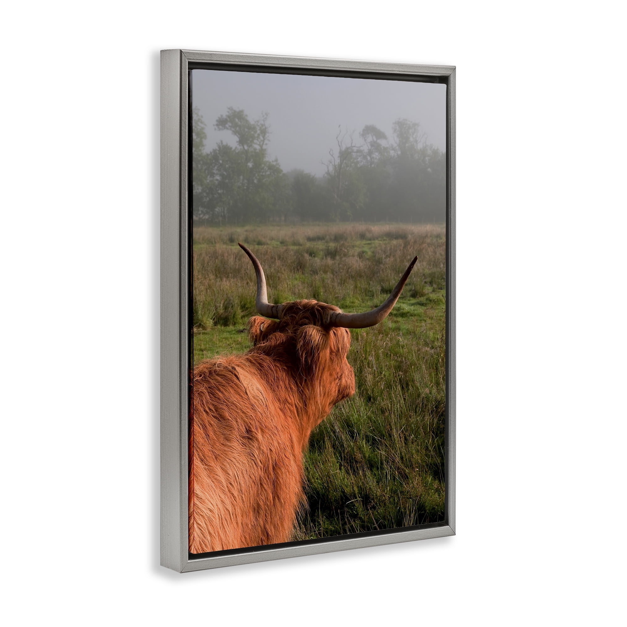 Highland Cow Gazing Out Gray Framed Floater Canvas Wall Art, design by Jenny Rainbow Fine Art