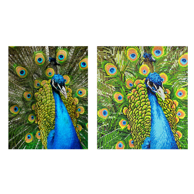 Diamond Art By Leisure Arts Diamond Painting Kits For Adults 14