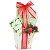 Holiday Splash Green Tea Spa Basket