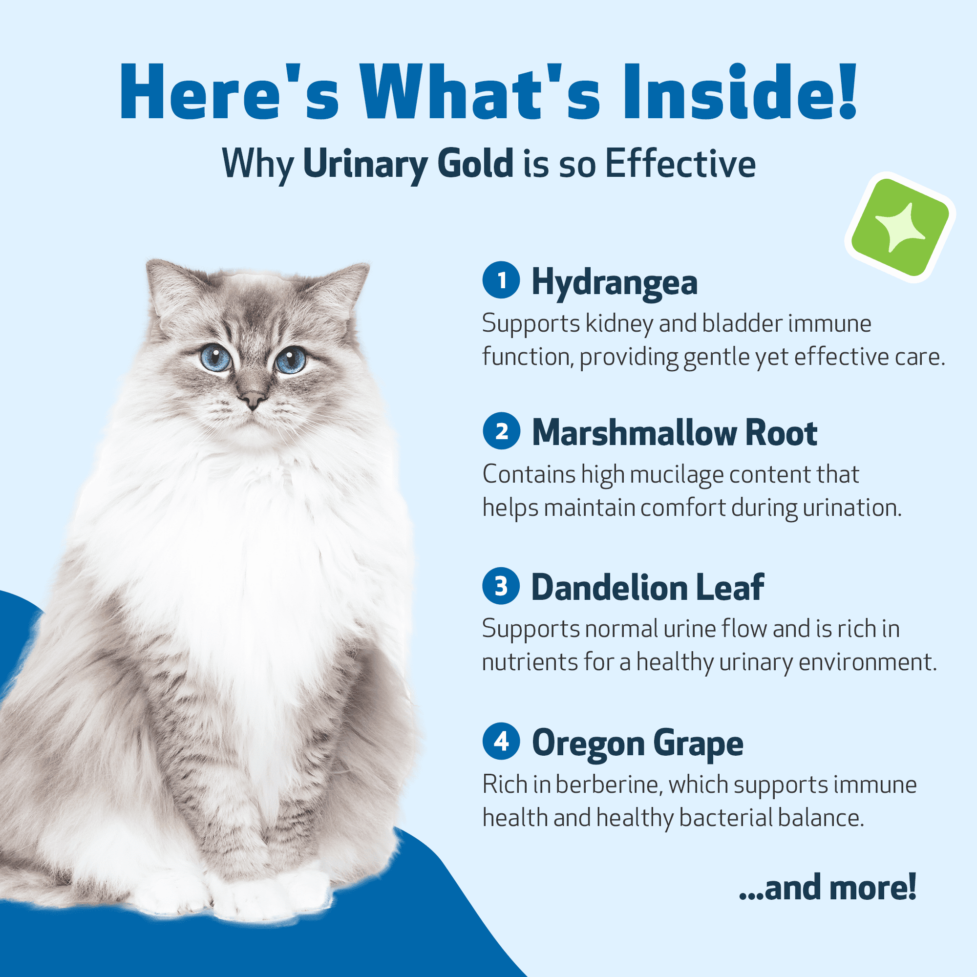 Curated visual reference: Pet Wellbeing Urinary Gold For Cats Natural Thailand Photo Inspiration