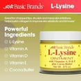 Basic Brands LLysine Ointment, Cold Sore Fever Blister Relief, Soothes