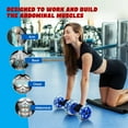 thumbnail image 3 of AURARMLET Dual Wheel Ab Roller with Blue Color for Core Muscle Training 1 Pair, 3 of 8