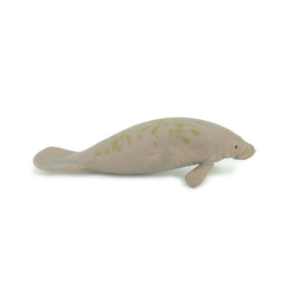 Manatee, Trichechus, Sea cow, Hand Painted, Educational, Rubber Animal, Realistic Figure, Lifelike, Gift, 3" SF46 B15
