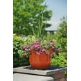 thumbnail image 5 of Garden Elements Indoor/Outdoor Glazed Brushed Happy Plastic Planter, Large, Bright Orange, 15", 5 of 5
