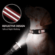 thumbnail image 4 of Collar de adiestramiento reflectante ajustable para perros con hebilla de liberación rápida para perros pequeños y medianos. MFZFUKR CPB-US-YY227-1, 4 of 5
