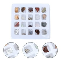 FOLOYORI Rough Stone Specimens Set Safe and for Science Learning Supply Ideal for Teaching Aid and Decoration