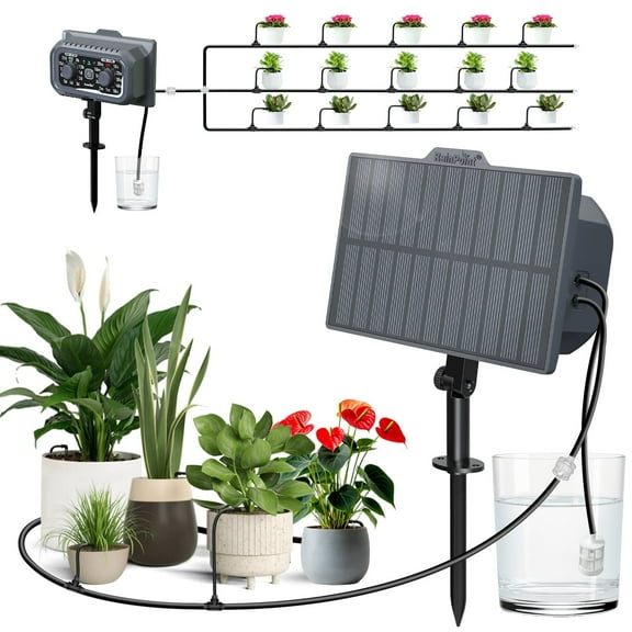 RainPoint Solar Irrigation Kit Automatic Watering System with 121 Timed Modes for Outdoor Balconies Potted Plants