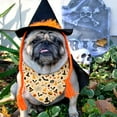 thumbnail image 5 of Fall Halloween Dog Bandanas Reversible 2 Pack Large, Orange Black Spider Web Ghost Cute Halloween Pet Bandanas for Dogs Adjustable Triangle Holiday Scarves for Medium Large Extra Large Boy Girl Dogs, 5 of 6