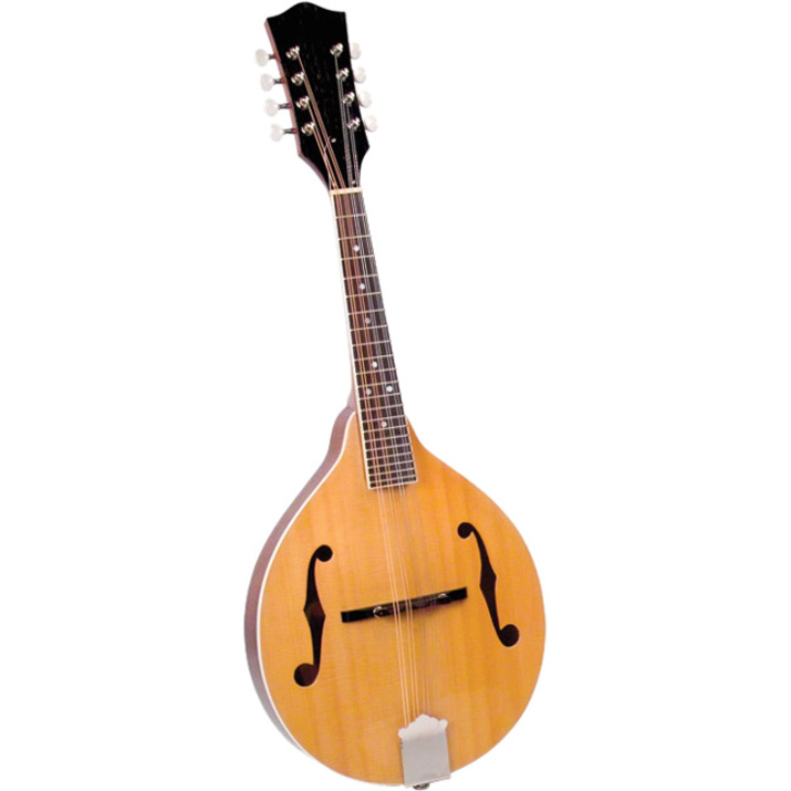 Saga AModel Mandolin Kit