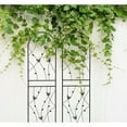 thumbnail image 6 of Holaki 2/4 Pack Metal Garden Trellis 71"/86.7" Outdoor Climbing Plant Support for Roses,Flowers,Rustproof Durable Black Galvanized Tube,Black, 6 of 10