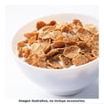 thumbnail image 4 of Cereal Great Value Bran Fibra 570 g, 4 of 4