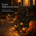 View all media