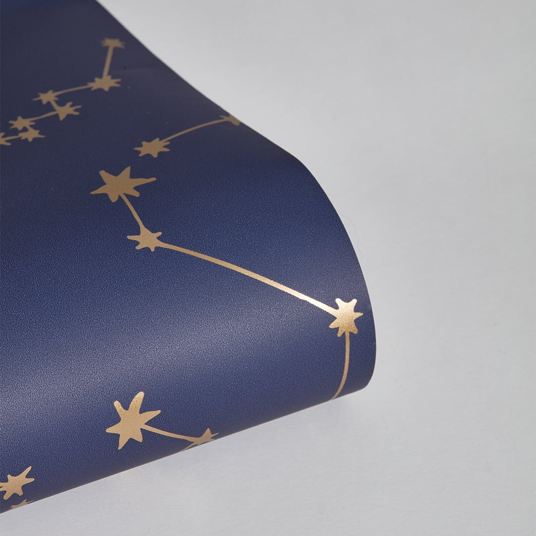 Tempaper x Novogratz Constellations Navy & Metallic Gold Peel and Stick Wallpaper, 20.5" x 16.5'